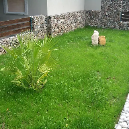 非洛克萨尼亚酒店 酒店