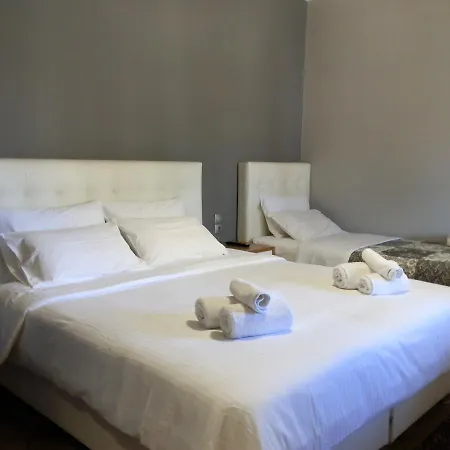 非洛克萨尼亚酒店 酒店